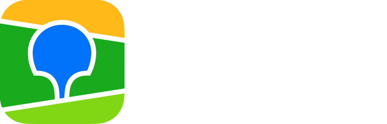 2GIS